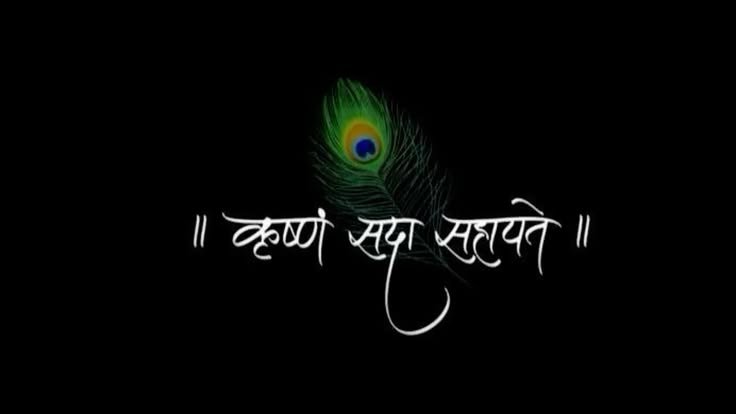 Best NGO of the Year 2024
